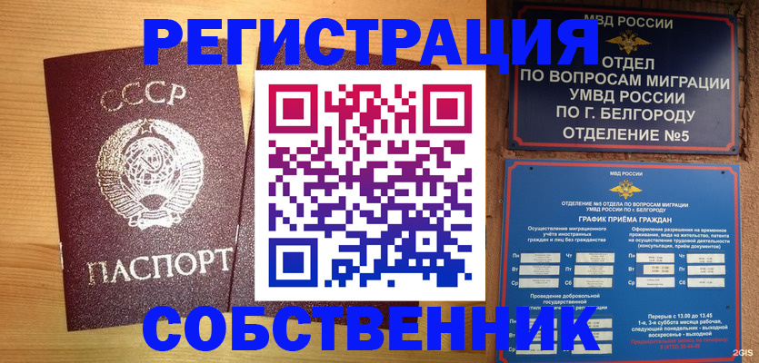 прописка 2025 в Выборге